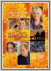 Best Exotic Marigold Hotel (The)